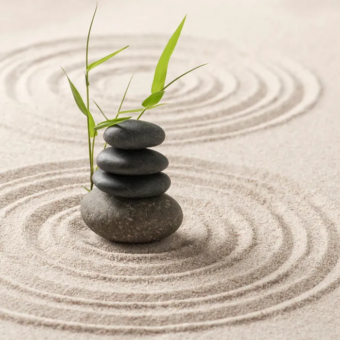 terapia centrată pe persoană